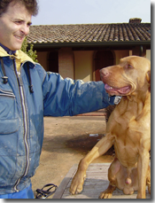 CALIN CHERTES